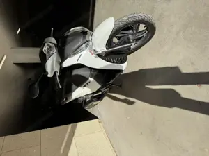 Roller Honda Sh150i Bild 4
