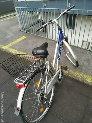 Damen Fahrrad 