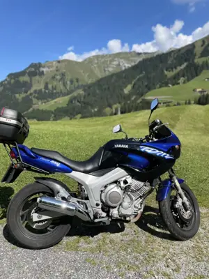 Yamaha TDM - sofort fahrbereit Bild 3