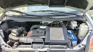 Hyundai H1 Starex 4x4 Bild 9