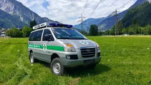 Hyundai H1 Starex 4x4