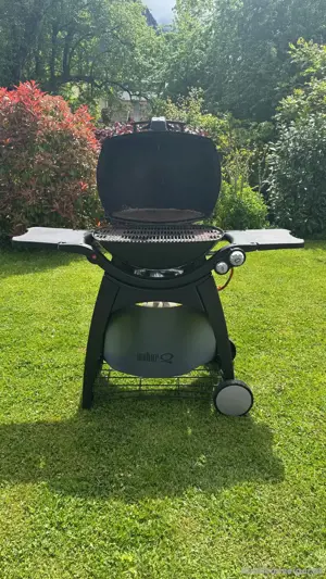 Weber Q3200 Gasgrill Bild 3