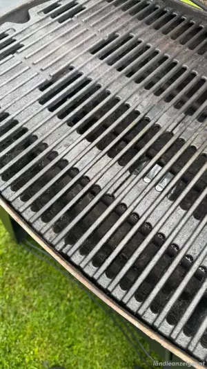Weber Q3200 Gasgrill Bild 2