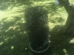 Maschendrahtzaun Bild 2