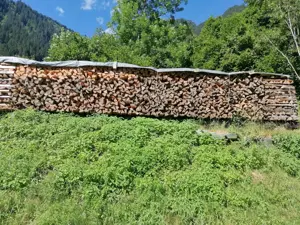 Brennholz 