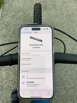 eBike Cube Action Team Bild 8
