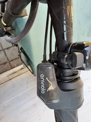 Lastenfahrrad Riese & Müller Vario Load 60 Bild 5