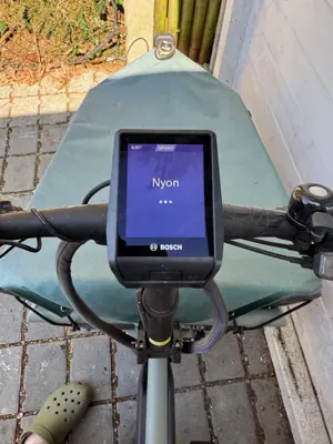 Lastenfahrrad Riese & Müller Vario Load 60 Bild 2