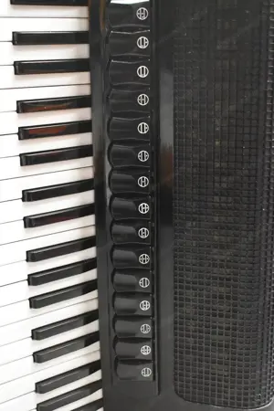 Mengascini Cassotto (16+8) Converter 4 Chörig 120 Bässe Bild 2