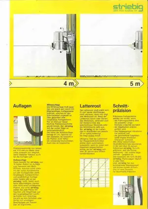 STRIEBIG Plattensäge Gebrauchtmaschine Bild 6