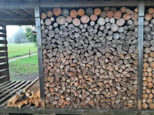 Brennholz Fichte trocken Meterspalten