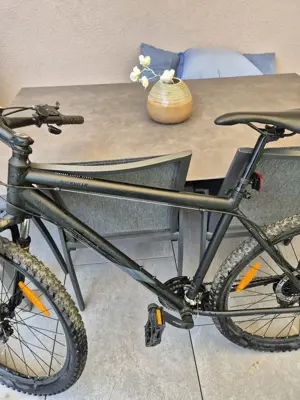 Fahrrad Herren Serious Cyckes Global