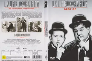 Versch. Laurel & Hardy DVDs , nicht in Box 1 & 2 enthalten Bild 9