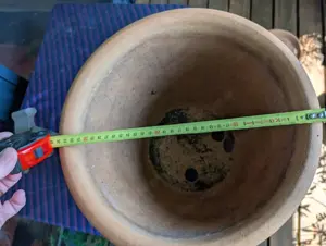 Terracotta-Pflanzentopf Bild 3
