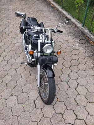 Yamaha XVS Drag Star 650 (Kardanwelle) Bild 2