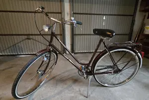 Retro-Fahrrad