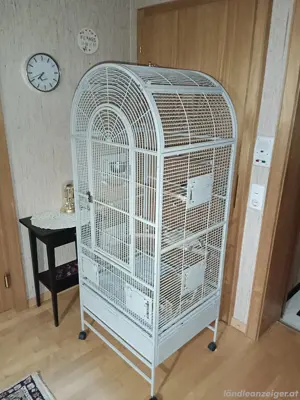 Vogel Käfig