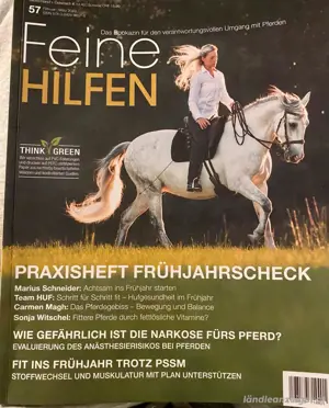 Pferde Hefte Bild 5