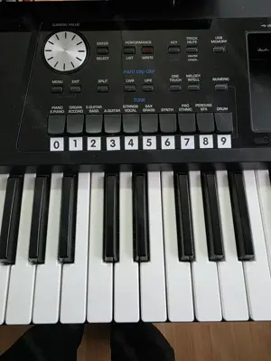 Roland BK5 Bild 4