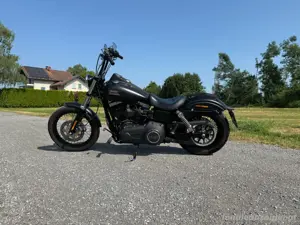 Harley Street Bob 103
