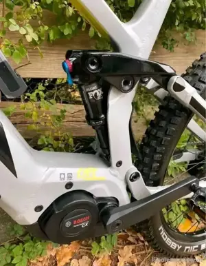 luxe  E-Bike Bild 8 luxe  E-Bike Bild 8