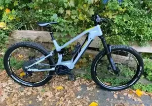 luxe  E-Bike Bild 3 luxe  E-Bike Bild 3