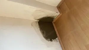 Saniere ihre alten Böden Parkett u Dielen Riemenböden Schleifen versiegeln oder Reinigen und ölen Bild 3