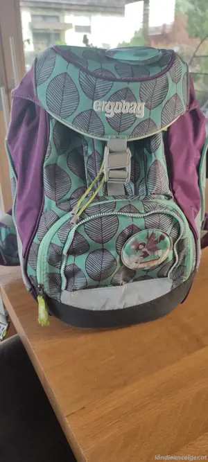 Ergobag Schultasche