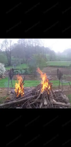 Grill, Spanferkelgrill, Lammgrill Bild 2