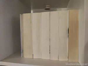 Frostkuss Reihe 1-6 (Mythos Academy Serie) Bild 4