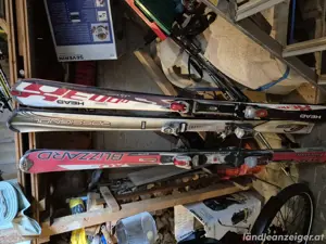 diverse Skier