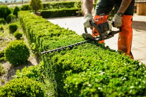 Gartenarbeit mit 15 Jahren Erfahrung Bild 2