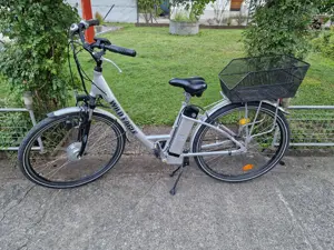 Elektro Fahrrad Wild Eagle