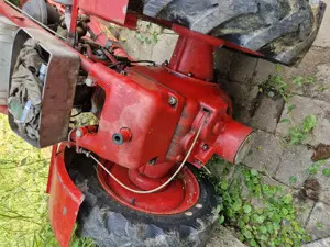 Rapid - Holmenschlepper - letzter Preis wird sonst eingewintert Bild 3