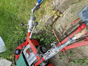 Rapid - Holmenschlepper - letzter Preis wird sonst eingewintert Bild 2