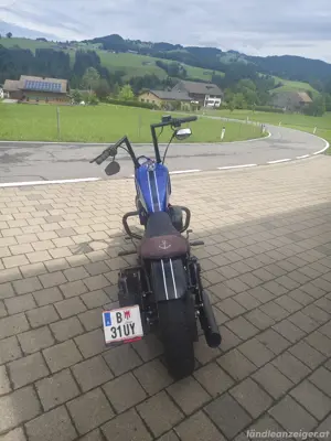 Harley Davidson Sporster Iron 883 Bild 4