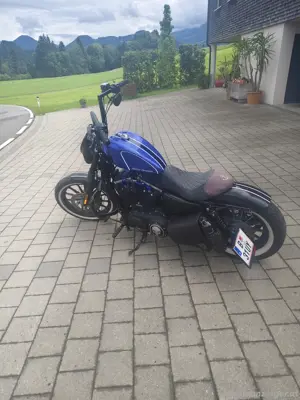 Harley Davidson Sporster Iron 883 Bild 10