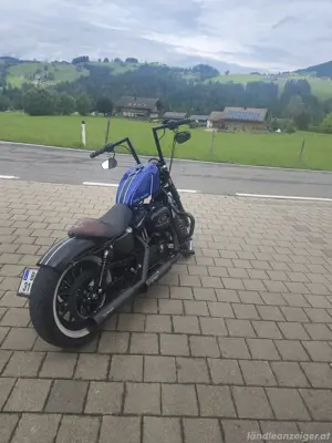 Harley Davidson Sporster Iron 883 Bild 7