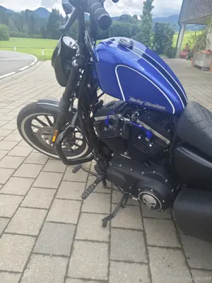 Harley Davidson Sporster Iron 883 Bild 9