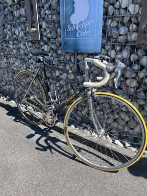 Rennrad Trek ZX 2300 Series