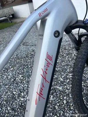 E-Bike Fahrrad Bild 2