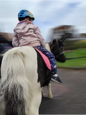 Erlebniss Ponyreiten Bild 2