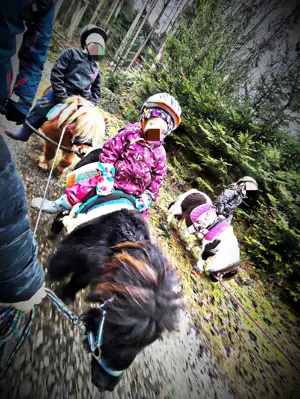 Erlebniss Ponyreiten Bild 3