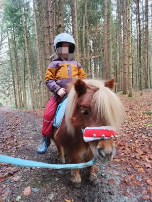 Erlebniss Ponyreiten Bild 5