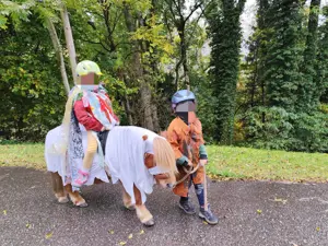 Geburtstag mit Hufgetrappel? Bild 3