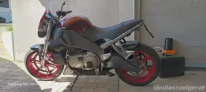 Buell XB12 SS Sonderedition Bild 4