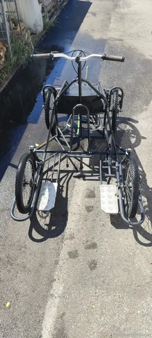 Trainingswagen 2-5 Hunde Bild 2