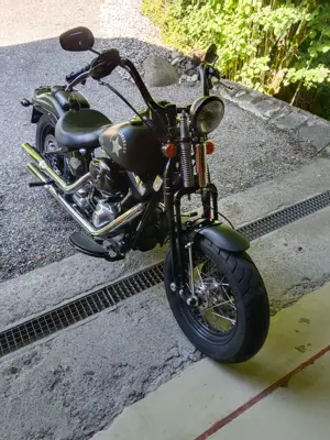 Verkaufe Harley Davidson  Bild 3 Verkaufe Harley Davidson  Bild 3