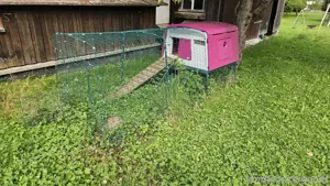 Hühner- Entenstall Bild 2