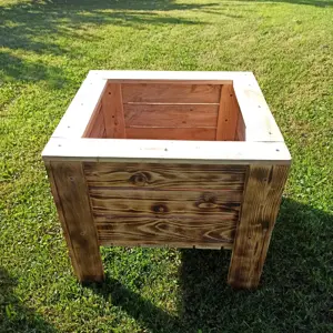 Blumen - Pflanzen Topf  Bild 3